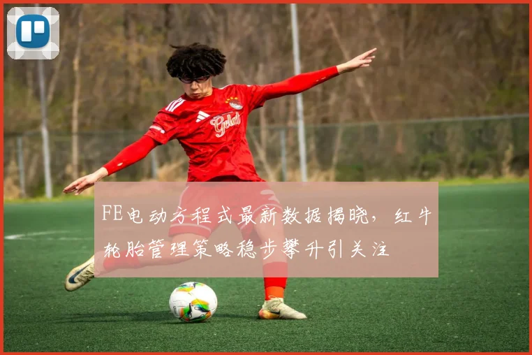 FE电动方程式最新数据揭晓,红牛轮胎管理策略稳步攀升引关注 - 虎扑体育推荐
