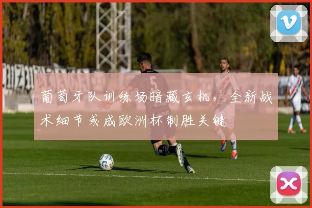 葡萄牙队训练场暗藏玄机,全新战术细节或成欧洲杯制胜关键 - 虎扑体育推荐